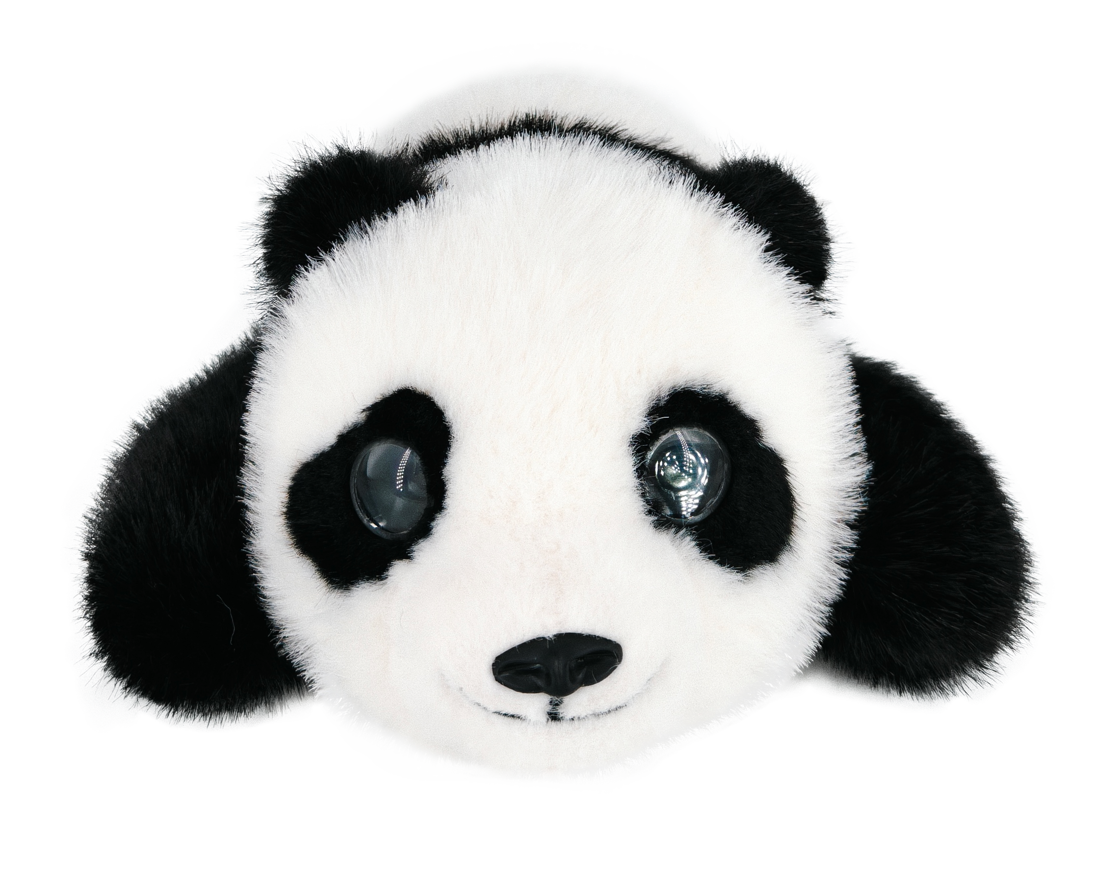 PandaBoo Interactive Head